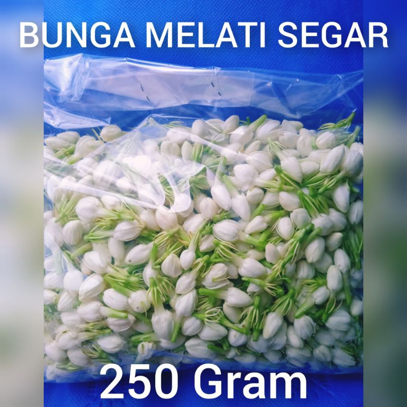 melati tabur dan ronce 250 gram asli flowers jasmine original fresh
