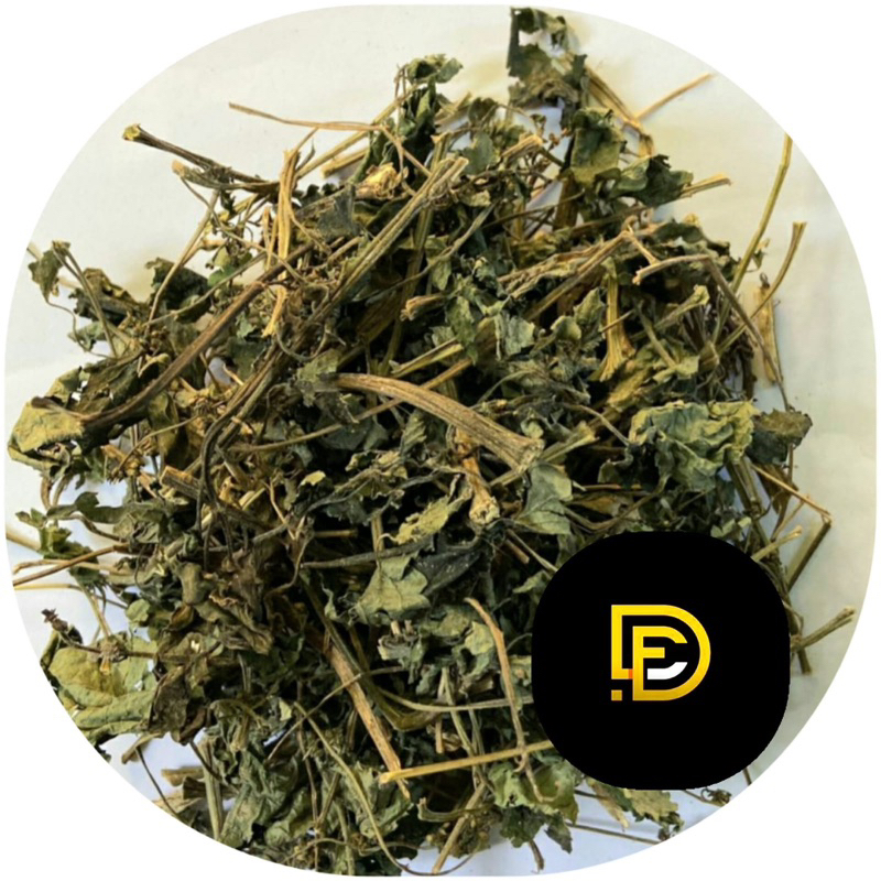 

Daun jelatang kering jelatang organik 100 gram-az