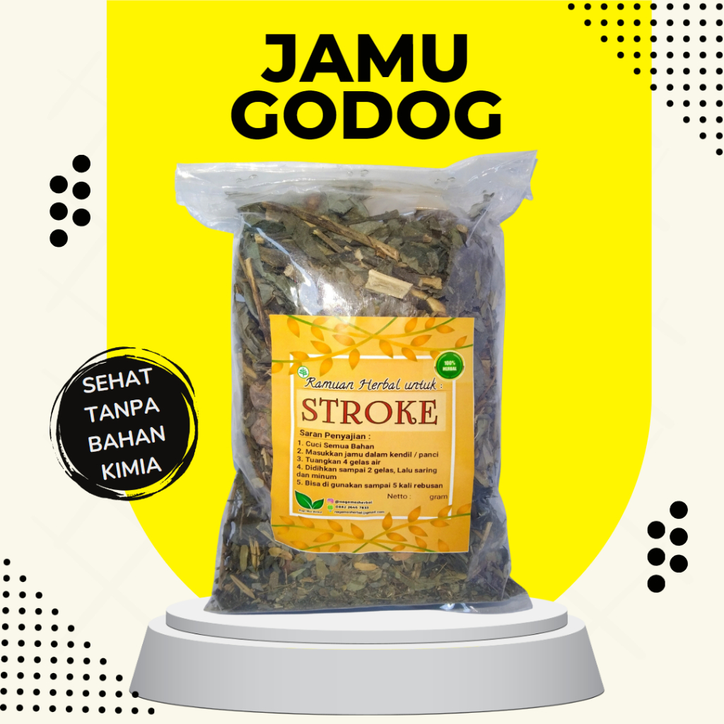 

Jamu Untuk Sakit Stroke Ringan atau Lumpuh l Herbal Stroke l Jamu Godog Herbal