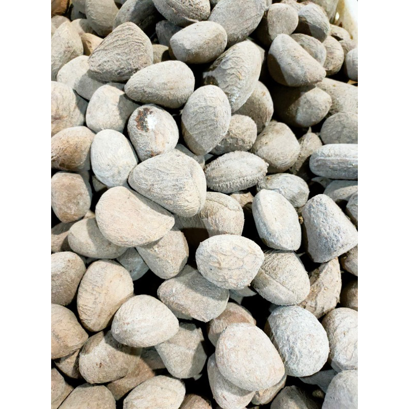 

keluwek/kepayang/pucung