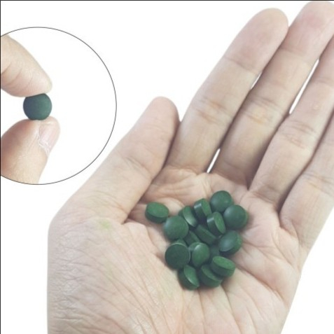 SPIRULINA TABLET PAKAN IKAN ORIGINAL ORGANIK FOOD GRADE PER PCS