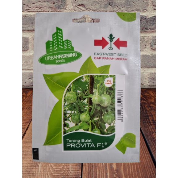 Benih Terong Lalap Bulat Hijau Hibrida PROVITA F1