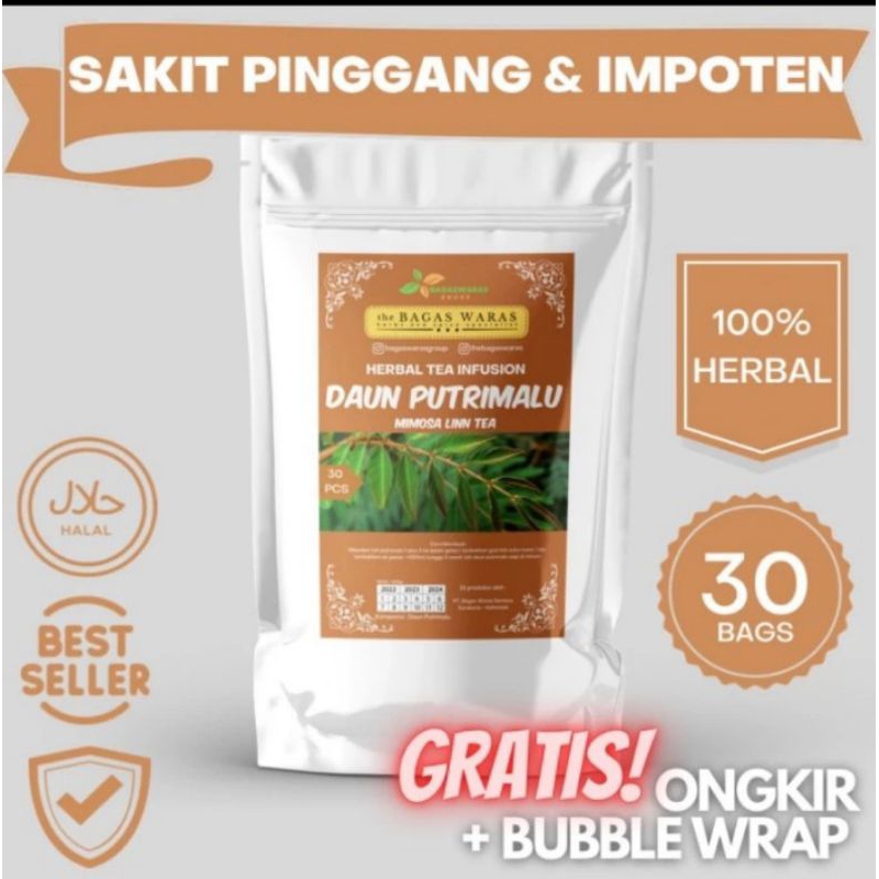 

teh daun putri malu herbal asli alami