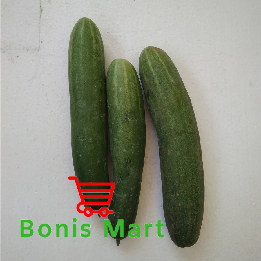 

Mentimun | Ketimun | Timun Segar.