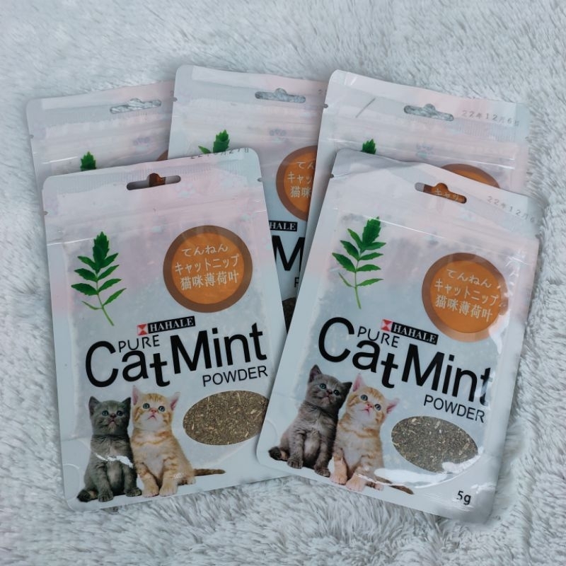 Catnip CatMint Powder Saset