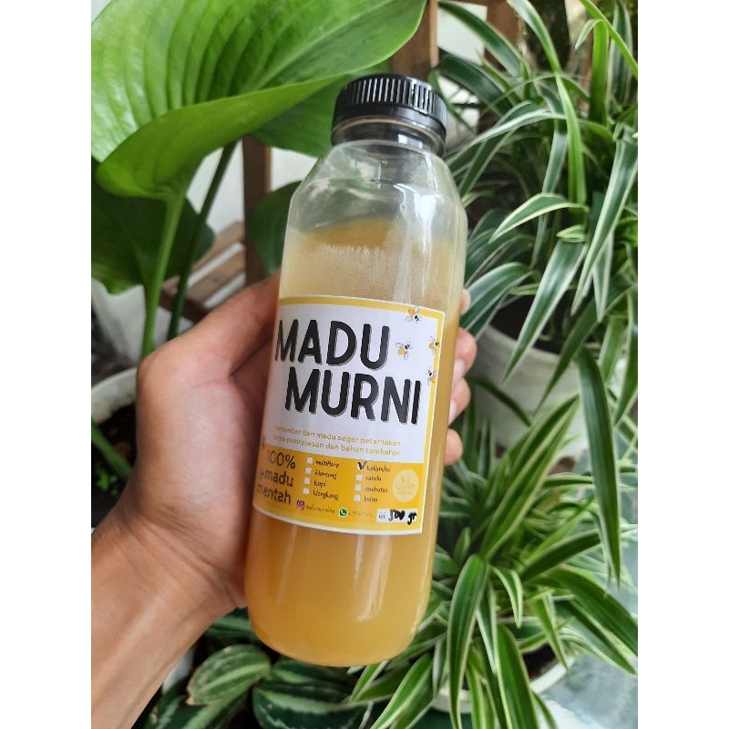 

Madu Murni, Madu Asli, Madu Mentah, Raw Honey