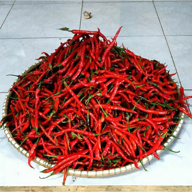 

Cabai Merah Kriting Segar Murahh 1 kg