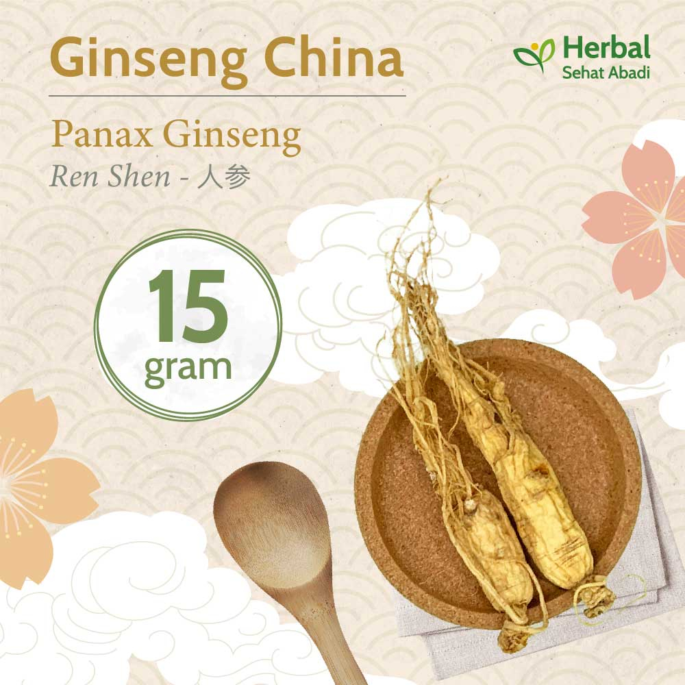 

Panax Ginseng 15 gram (人参) / Ginseng China