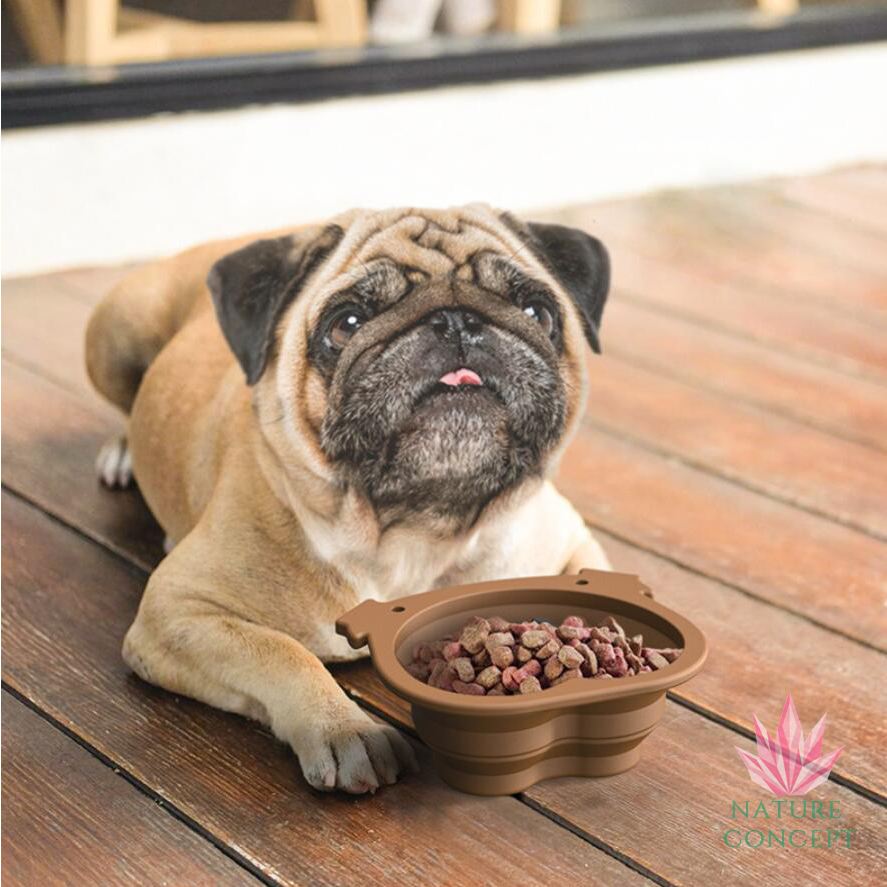 Mangkuk Lipat Tempat Minum Makan Hewan Anjing Lucu Unik Murah