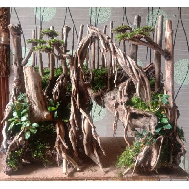 Hardscape Bonsai Jungle Ukuran 40cm Bonus Planting
