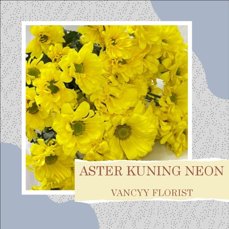 Bunga Aster Pertangkai / Bunga Aster Potong / Bunga Aster Kuning Neon / Bunga Aster Vancyy Florist /