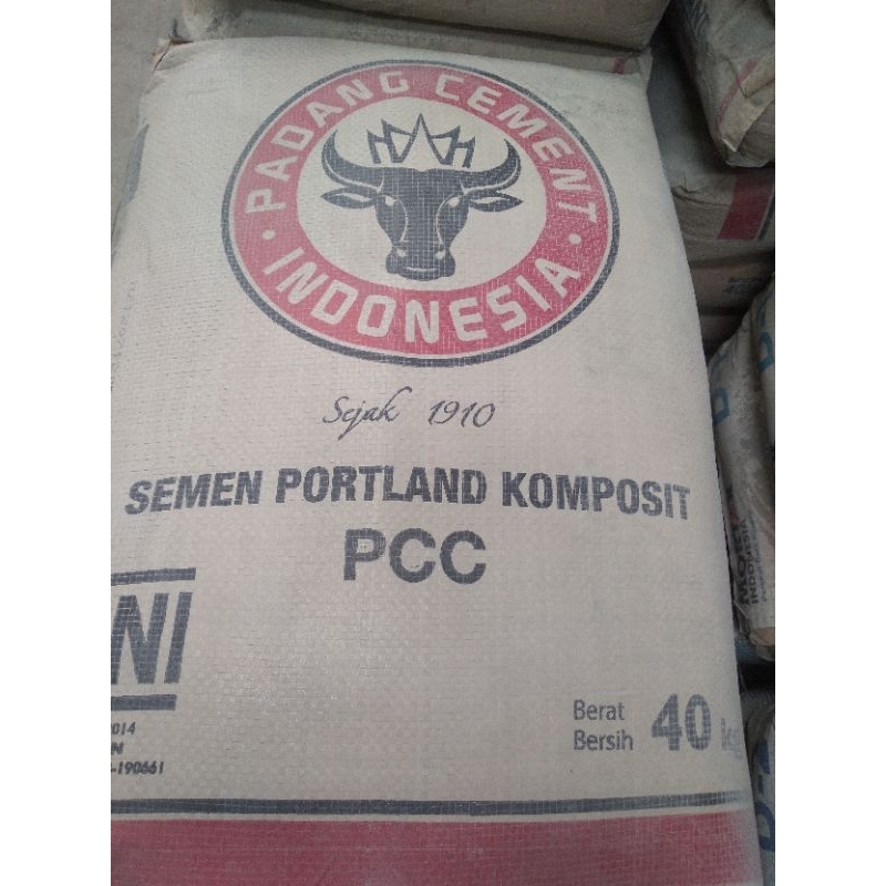 SEMEN PADANG 40 KG