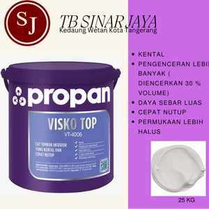 PROPAN VISKO TOP VT - 4006 25KG - WHITE