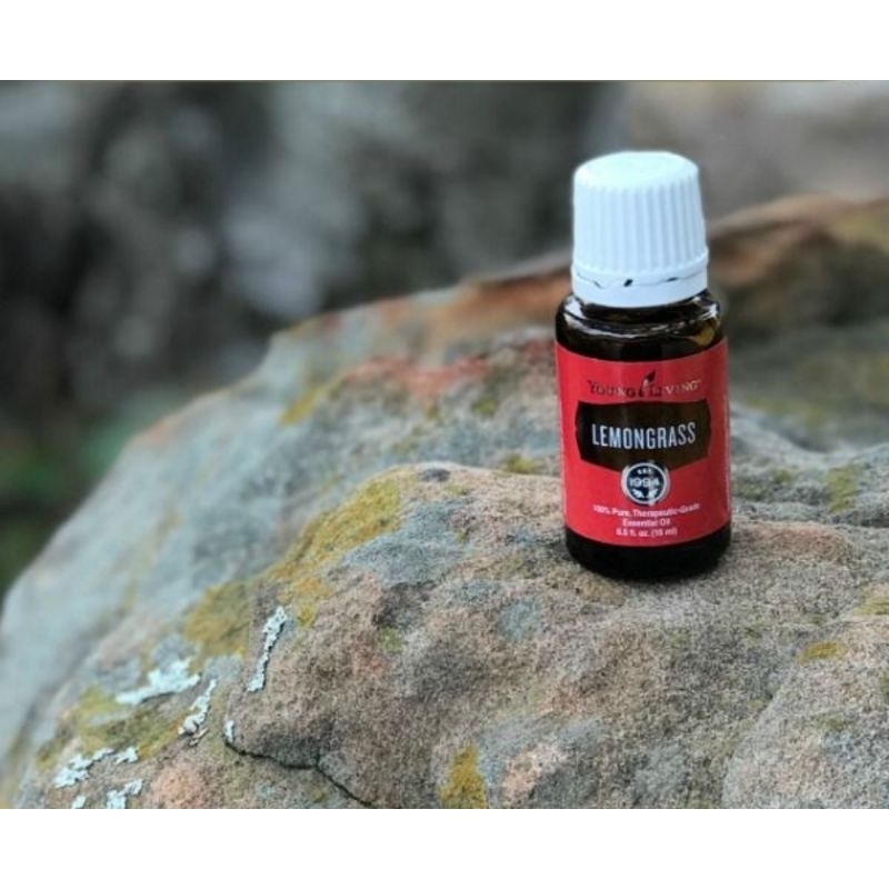 Lemongrass Oil YL