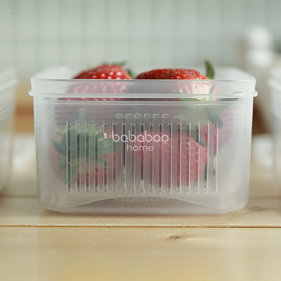 Nihon Food Container with Drainer