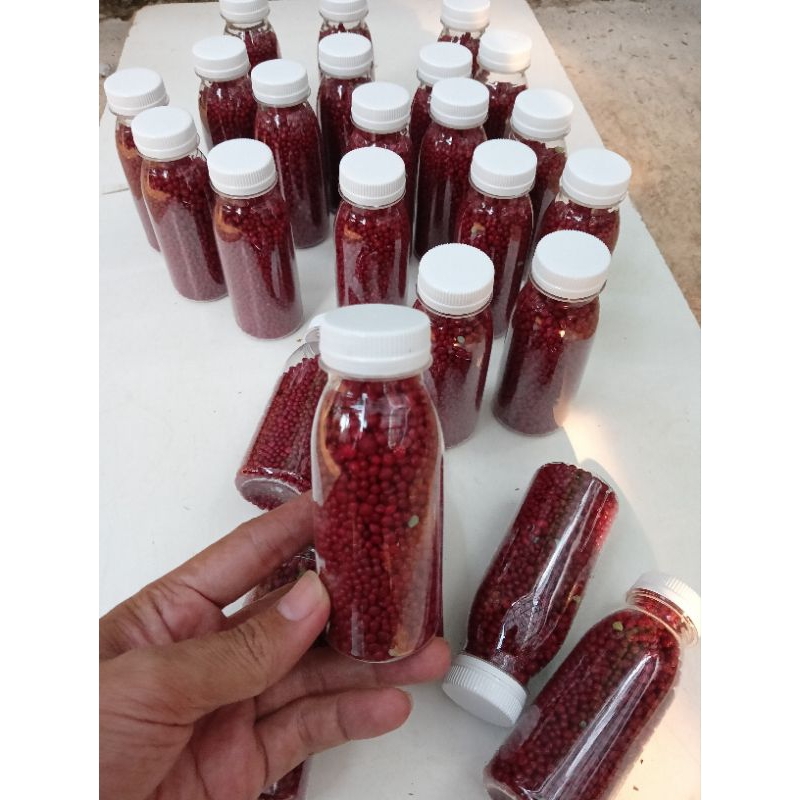 Pupuk Merah Slow Release Untuk Aglonema 100 Gram