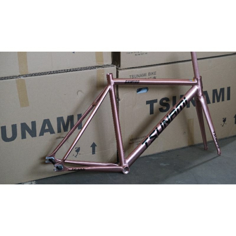 frameset tsunami snm100