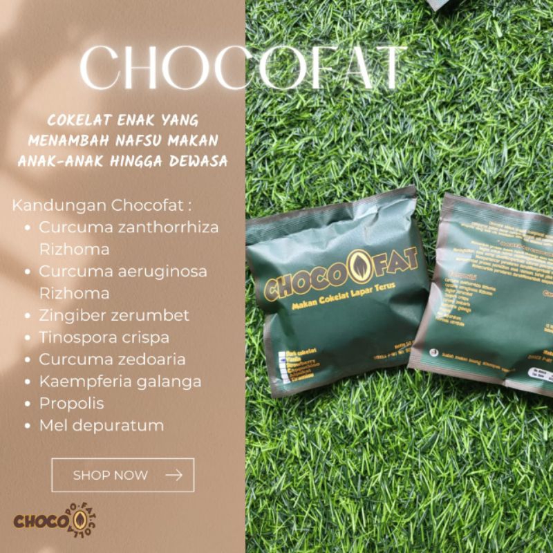 

Chocofat coklat penambah nafsu makan promo beli 2 gratis 1