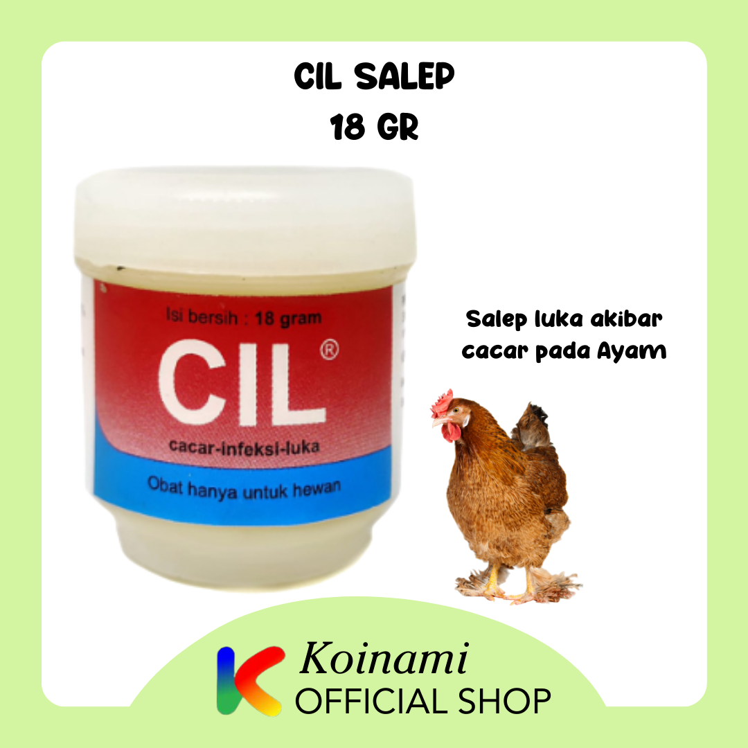 CIL SALEP LUKA AKIBAT CACAR POK PADA AYAM / OBAT LUKA INFEKSI / MEDION