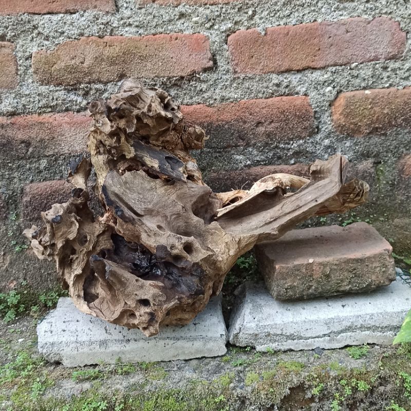 Kayu Aquascape, Aquarium & Kayu Reptil ukuran XL