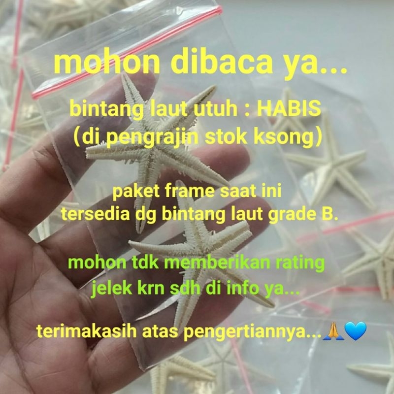 paket kerang mix dan pasir natural utk prakarya botol hias message in a bottle