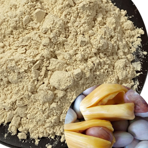 

TERMURAH HERBAL BUBUK BIJI NANGKA ORGANIK 1 KG