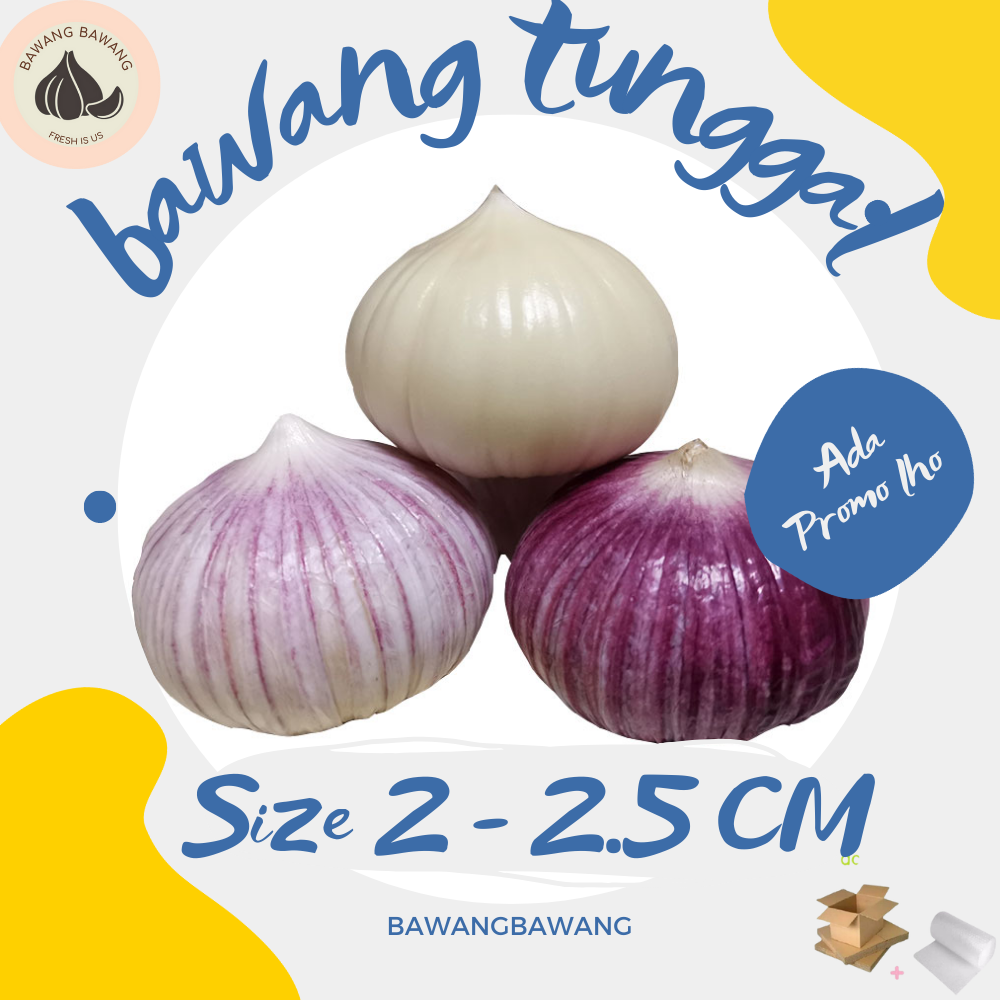 Bawang Putih Tunggal Lanang Besar 1KG