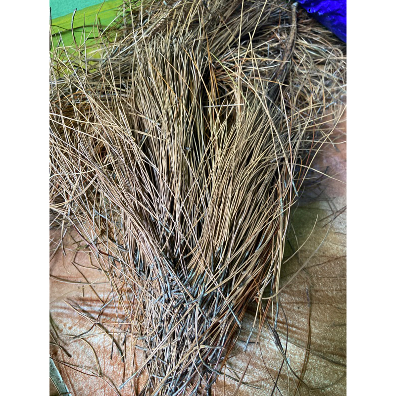 

Daun pinus kering 500 gram natural-az