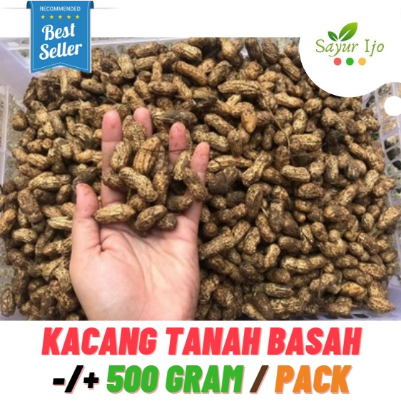 

Kacang Tanah Kulit Basah Mentah 500 Gram / Pack Fresh Sayur Segar