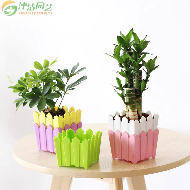 Vas Bunga Plastik | Pot Bunga Plastik | Pot Dekorasi Meja | Pot Bunga plastik Tanaman Bunga