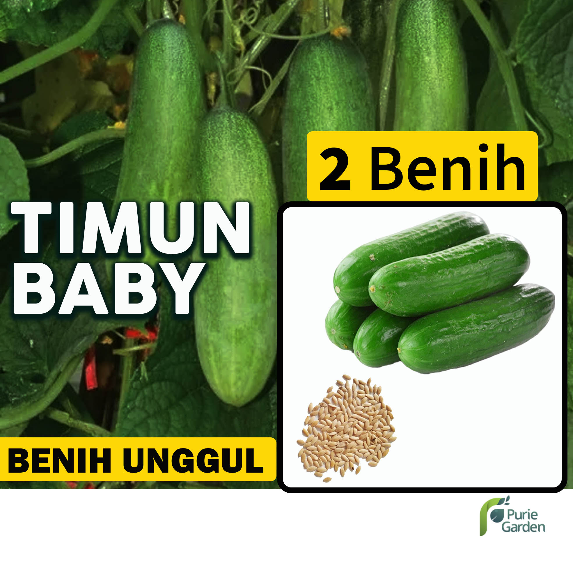 Benih Bibit Mentimun Timun Baby Mini 2 Benih Seribuan PG SBY