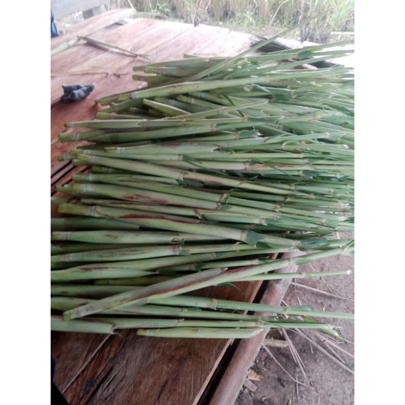 

Sayur Terubuk 1 kg terubus, tiwu endog, telor tebu