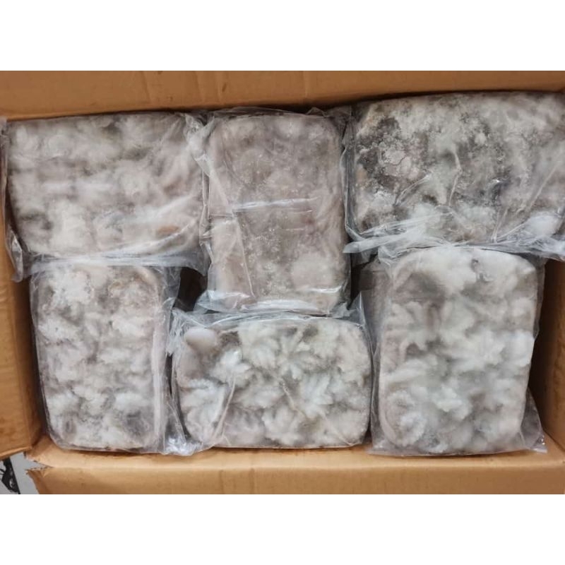 

Baby Gurita clean fresh frozen 500gram