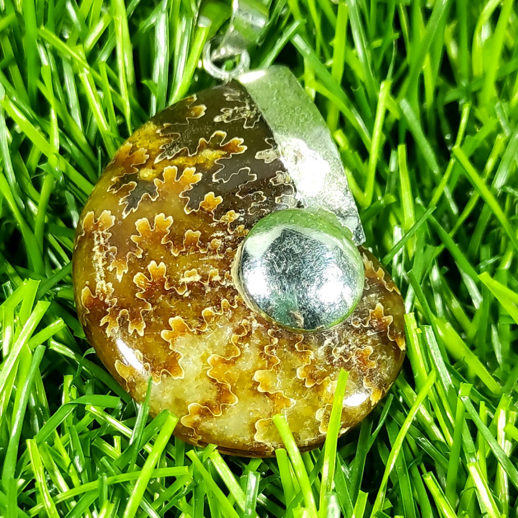 Liontin Sutured Ammonite From Madagascar - Liontin Fosil FSL-145