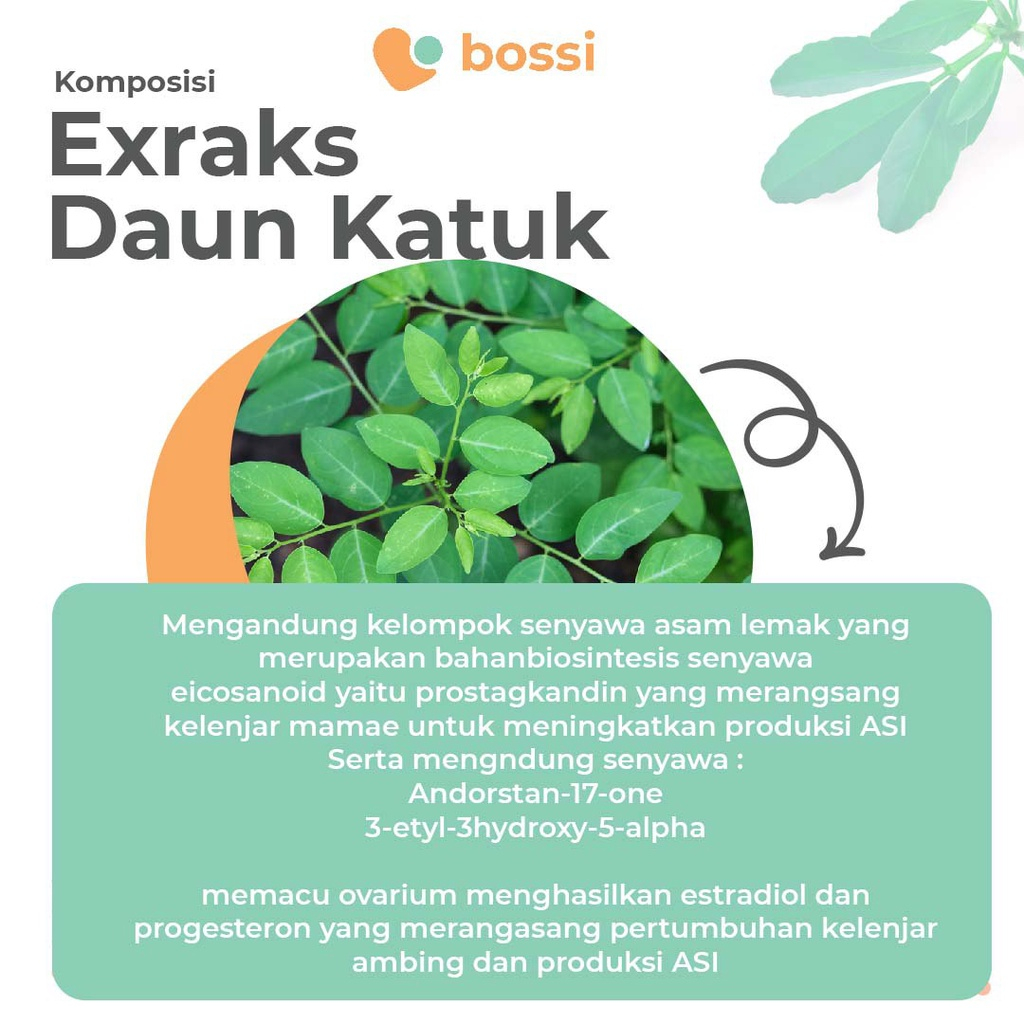 BOSSI ASI BOOSTER 30 KAPSUL