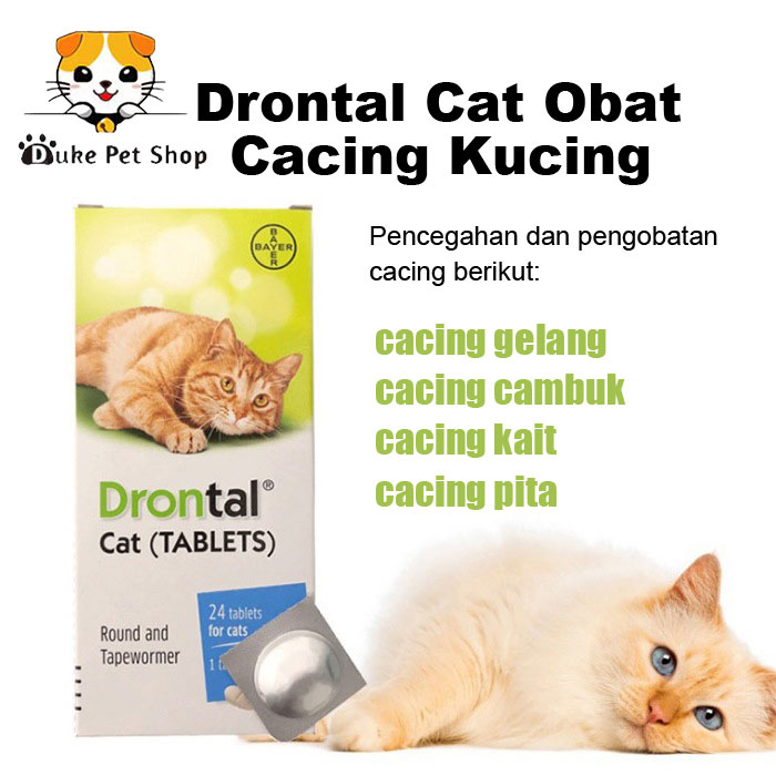 Drontal Cat Obat Cacing Kucing Stop Worm Untuk Cats Dewasa Kiten Cacingan Bukan