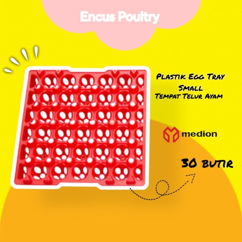 

EGG TRAY - TEMPAT TELUR AYAM MEDION