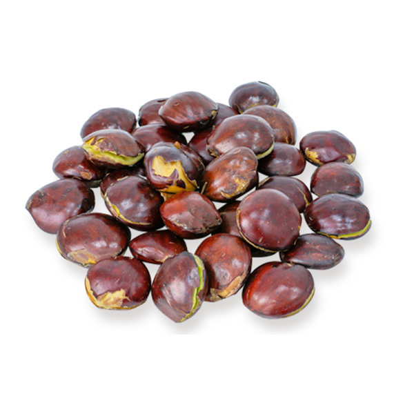 

JENGKOL TUA