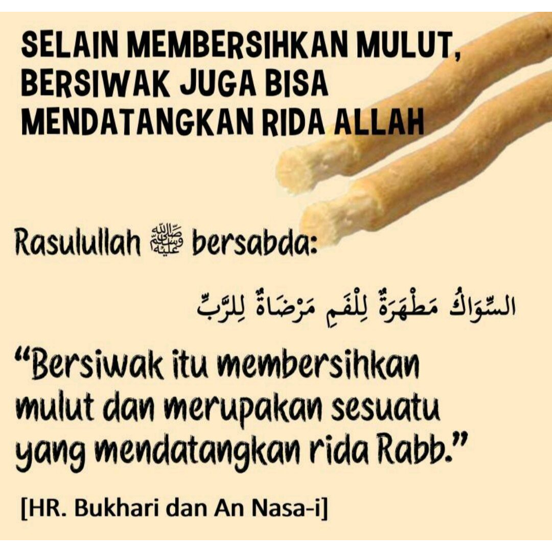 Siwak kesehatan gigi -  Siwak Miswak