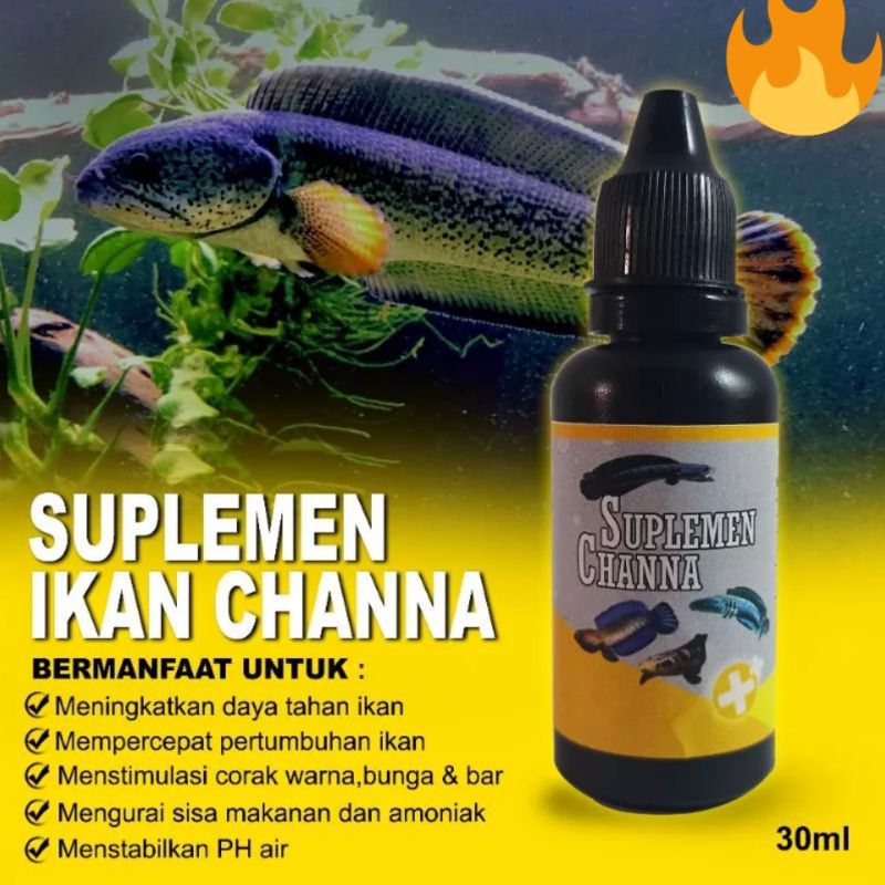 Suplemen ikan chana / obat probiotik chana mutasi warna / mutasi warna ikan chana / obat ikan