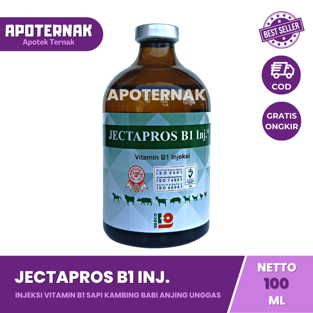 JECTAPROS B1 INJ 100 mL | Vitamin B1 Injeksi Untuk Hewan Sapi Kambing Domba dll | Like B1 Wonder