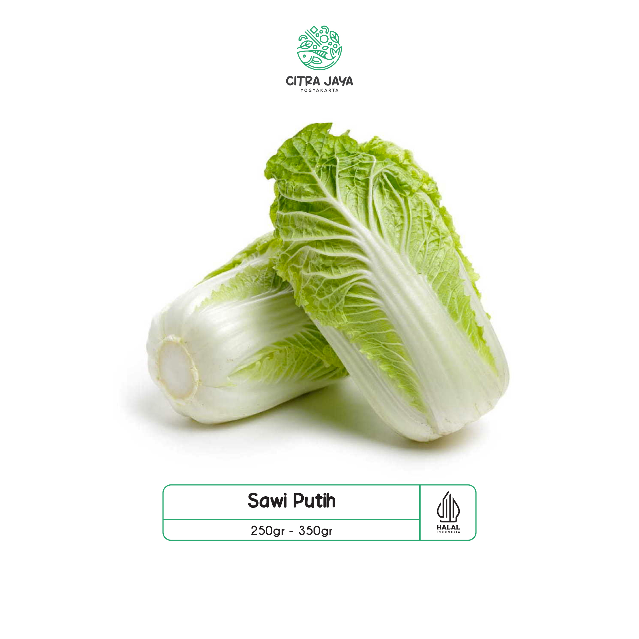 

Sawi Putih - Citra Jaya Yogyakarta