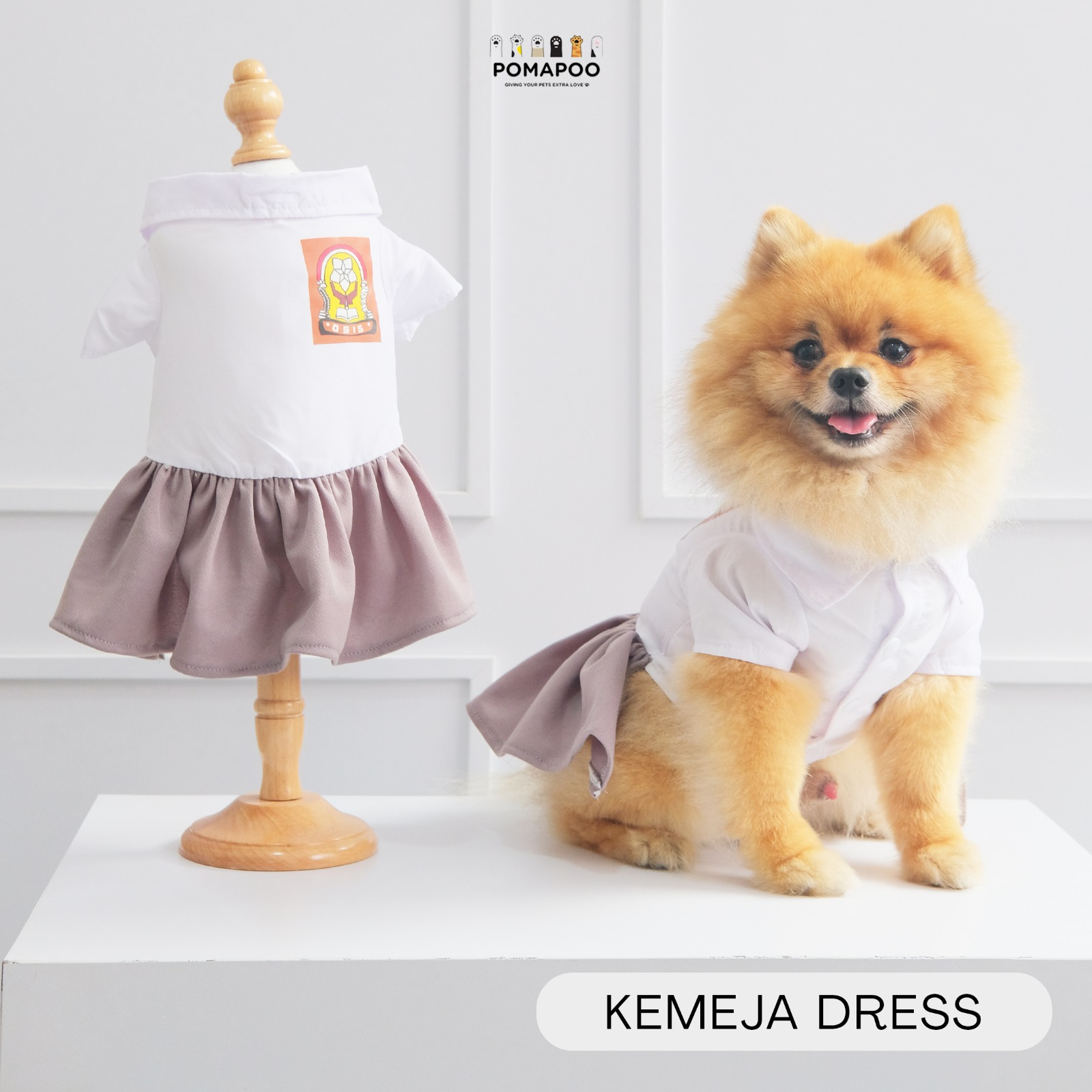 RK POMAPOO - Kostum Kucing dan Kostum Anjing Seragam SMA