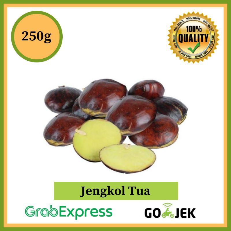

Jengkol Tua 250 gram