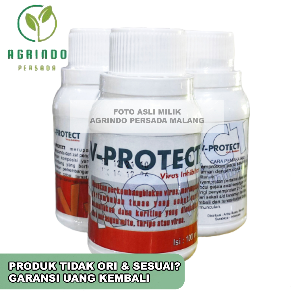 V-PROTECT 100ml, Virus inhibitor mengatasi keriting pada tanaman | V Protect 100ml untuk mengatasi tanaman terserang gemini virus | V Protect Anti Virus Tanaman