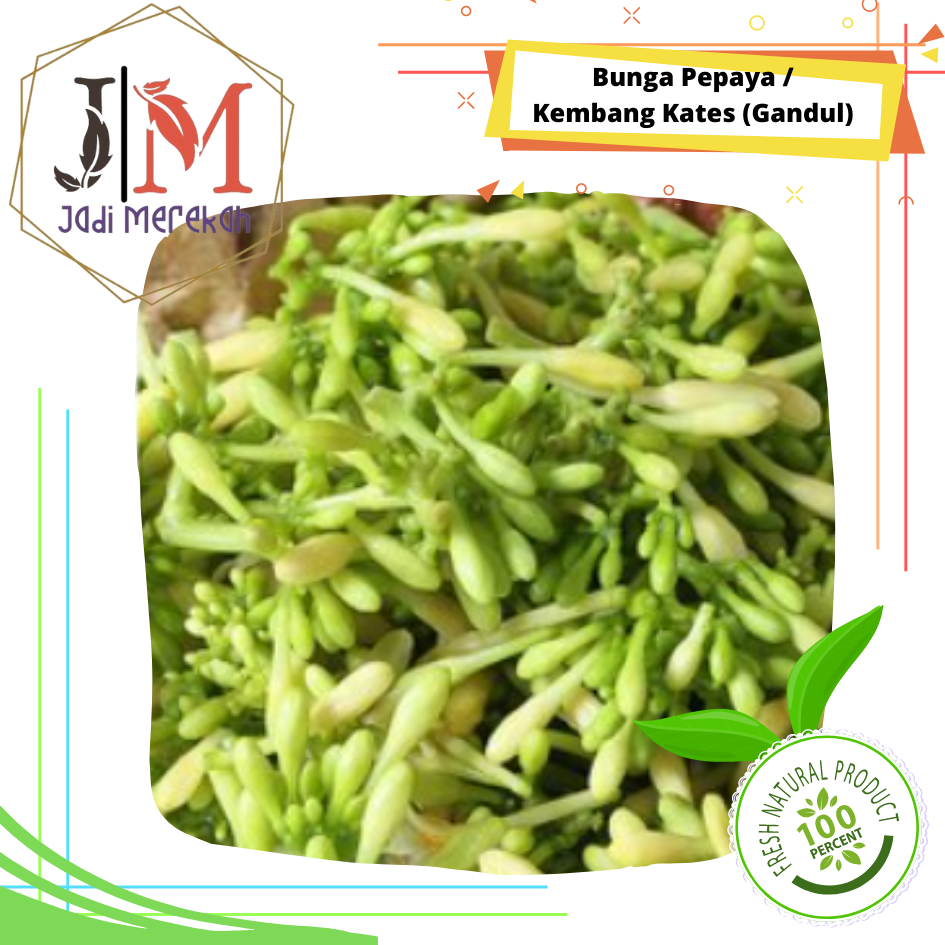 

[JM SoFresh] - Bunga Pepaya / Kembang Kates / Kembang Gandul