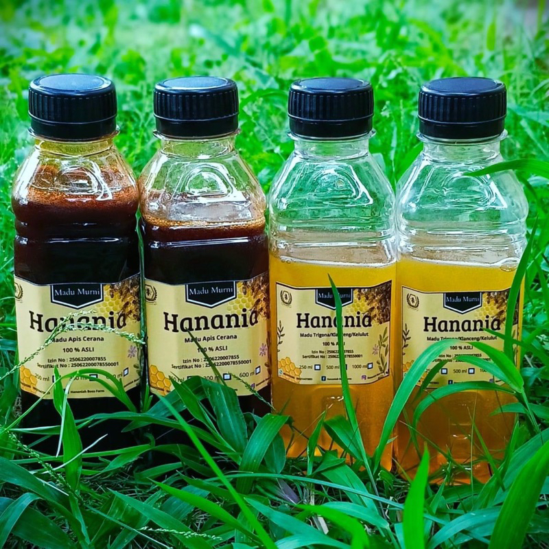 

MADU | MADU TRIGONA | MADU ASLI | MADU LEBAH