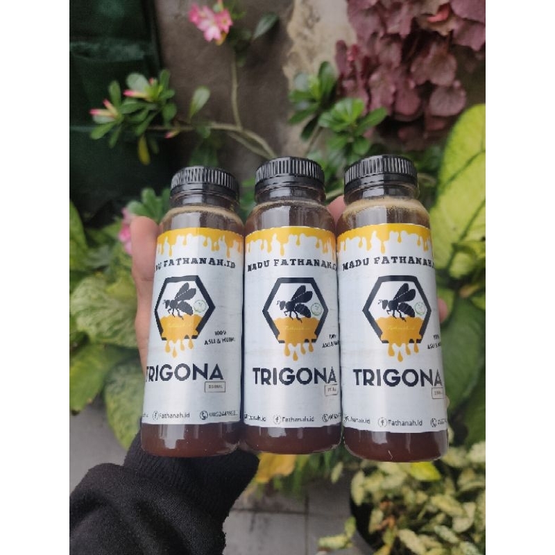 

Madu Trigona Sulawesi Fathanah.id 250ml