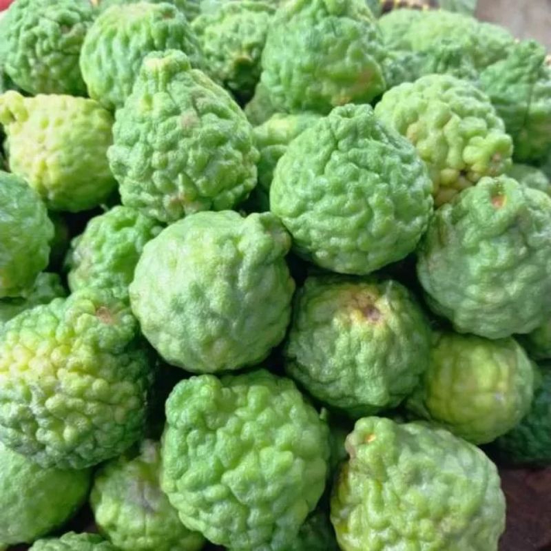 

Buah jeruk purut