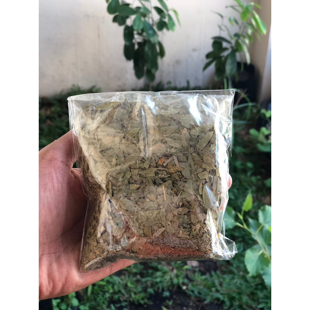 

Teh Daun Jati Cina Original 100% Alami Herbal Pelangsing Penurun Berat Badan Slimming Tea